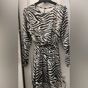 H&M Black and White Zebra Print Dress